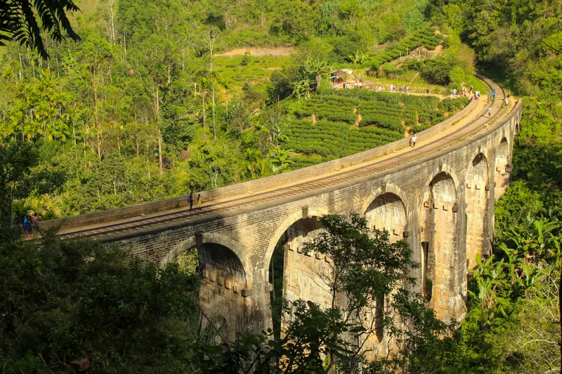 The curved stone arches of the Nine Arches Bridge above terraced tea hills near Ella